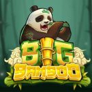 Play Big Bamboo Slot by Push Gaming